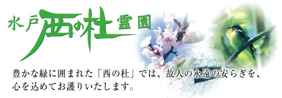 ���ː��̓m�揊�@�L���ȗ΂Ɉ͂܂ꂽ�u���̓m�v�ł́A�̐l�̉i���̈��炬���A�S�����߂Ă���肢�����܂��B